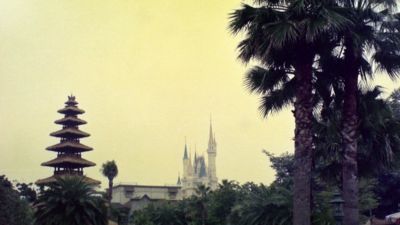 TDL