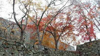 ÎR